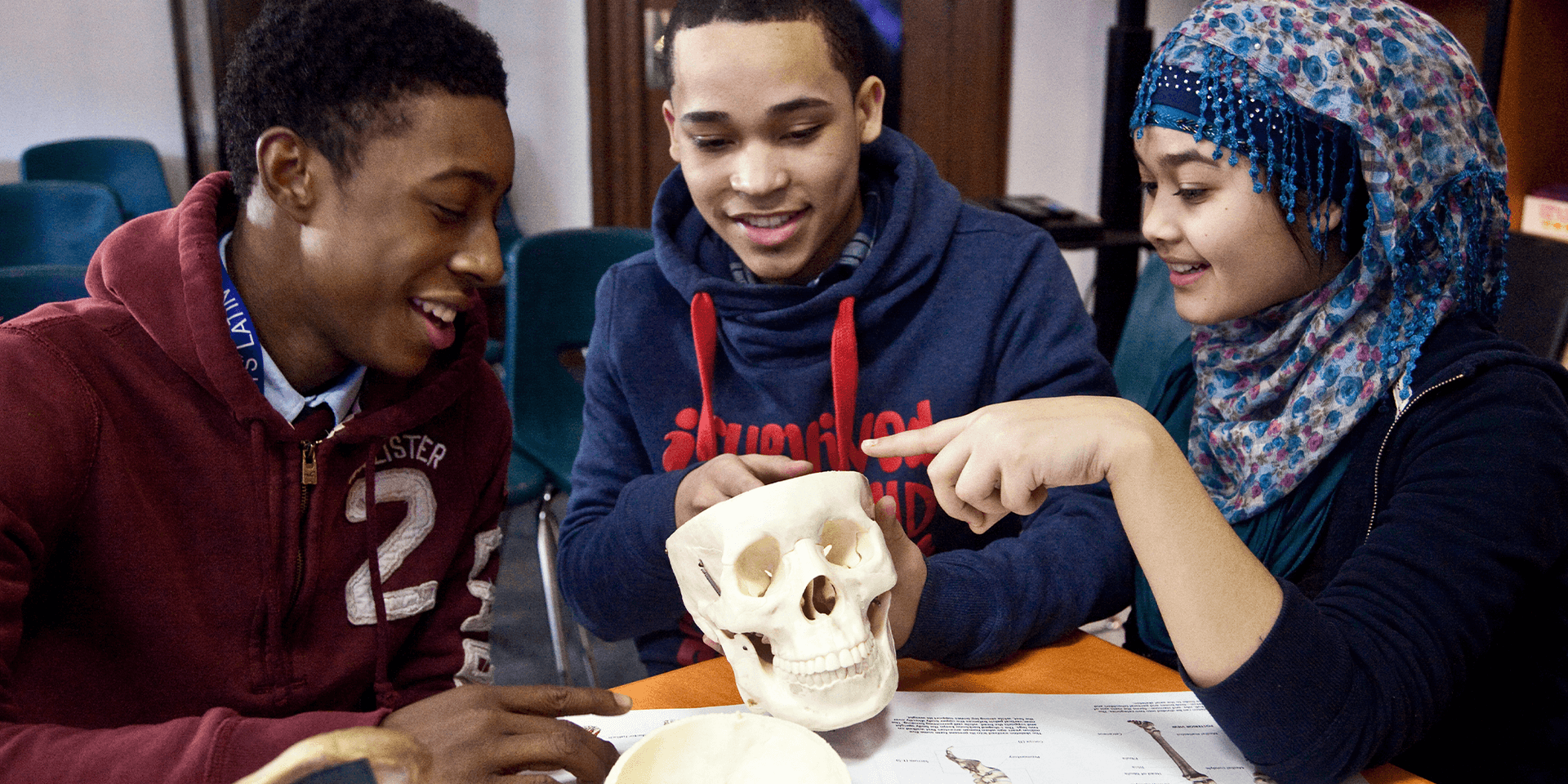 Three students analyzing a model of a skull
