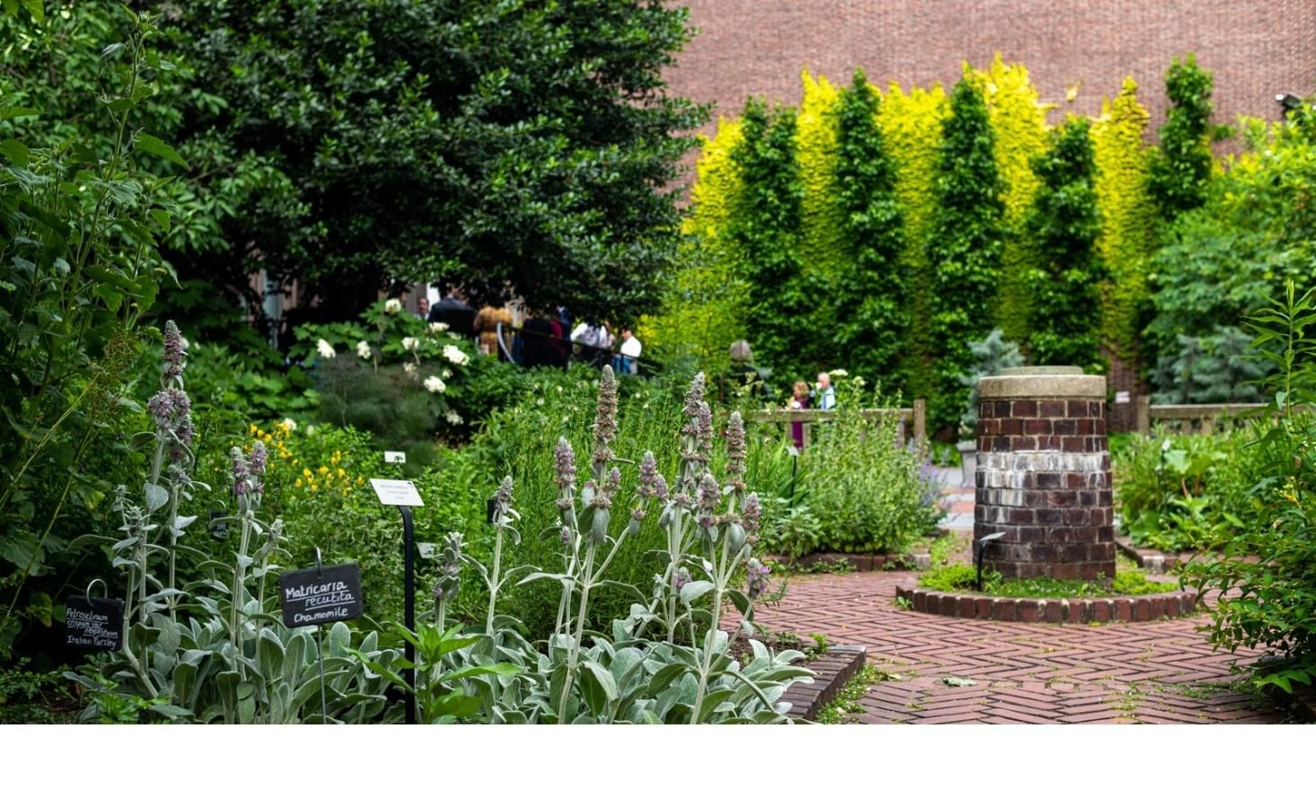 view of the Benjamin Rush Medicinal Plant Garden