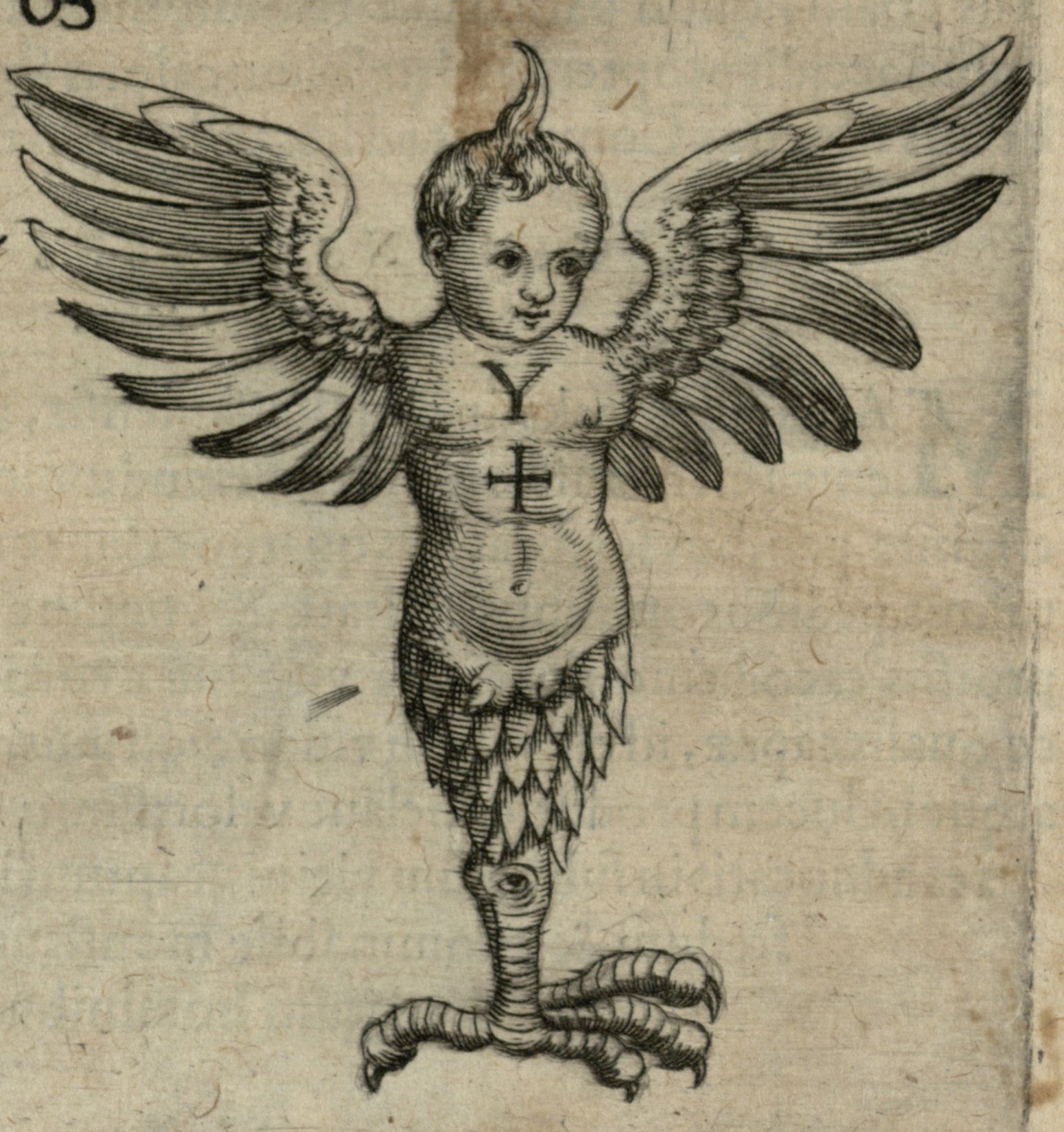 Illustration from the historical medical library of a human body with wings, and a scaled single leg ending with a talon. 
