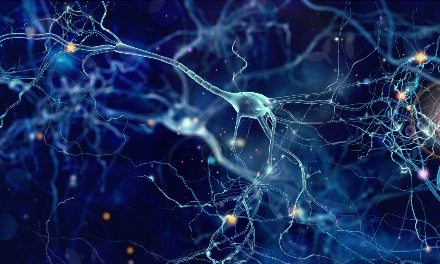 digital image of neurons firing