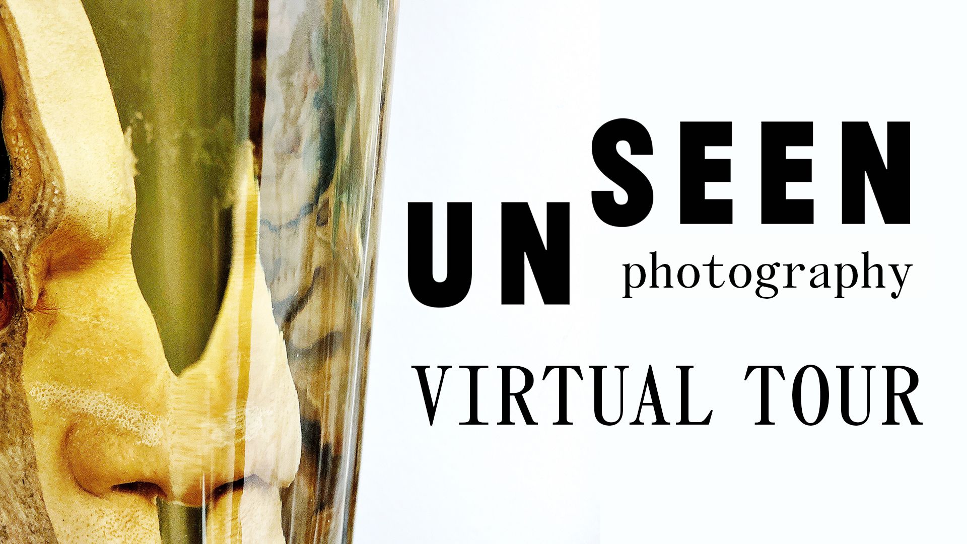 The text Unseen Photography Virtual Tour alongside an image collage