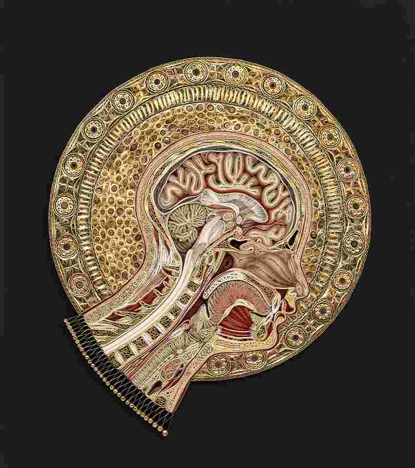 Tightly coiled pieces of paper in gold, peach, and red colors, forming an anatomical cross-section of a human head with a halo
