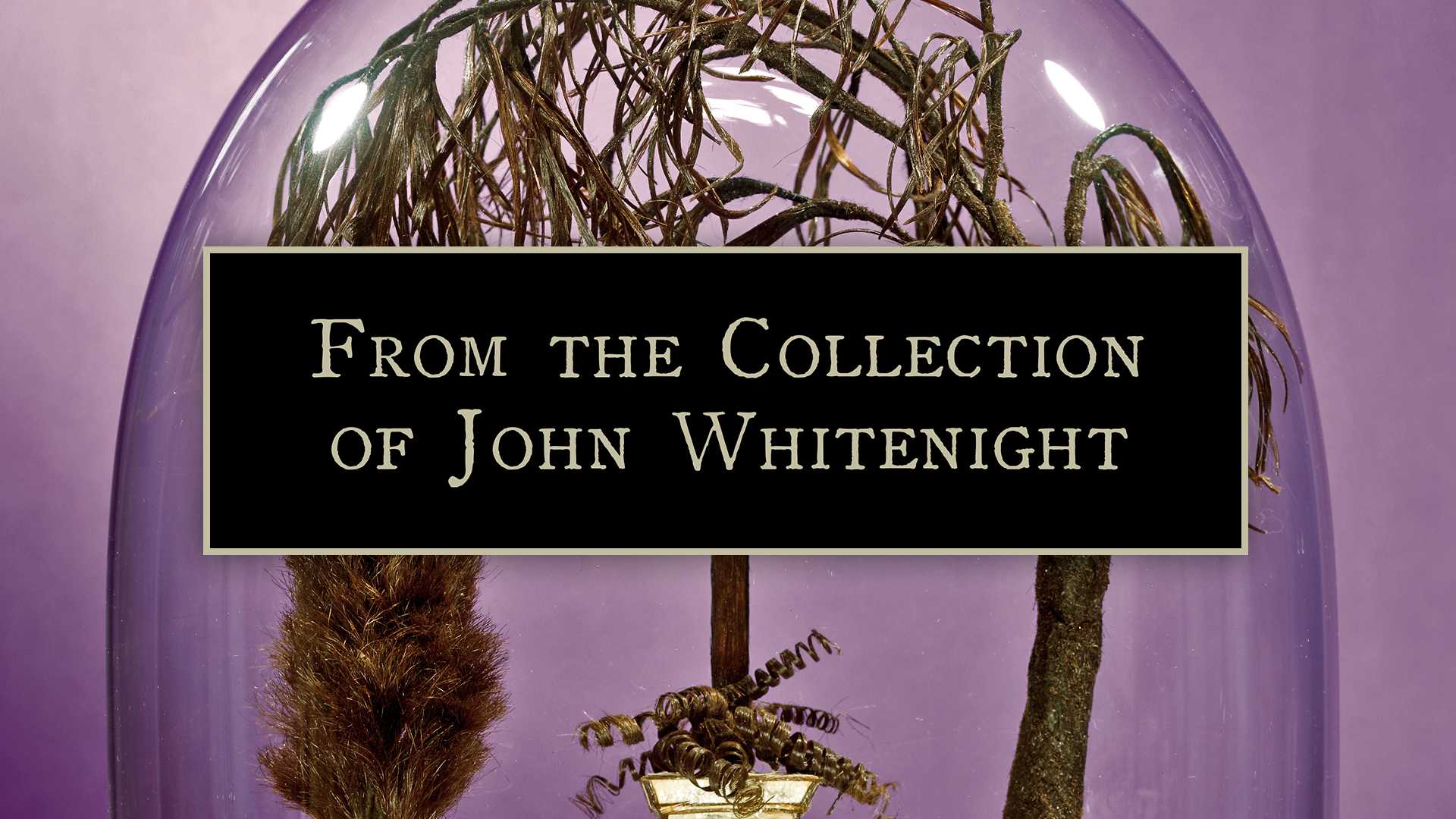 Close-up of a glass dome with a Victorian hair art tree inside and text reading "From the Collection of John Whitenight"