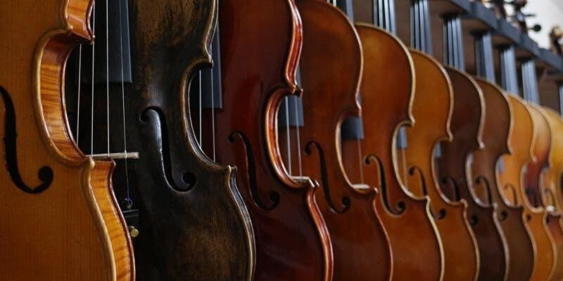 Close up of 11 violins down a row