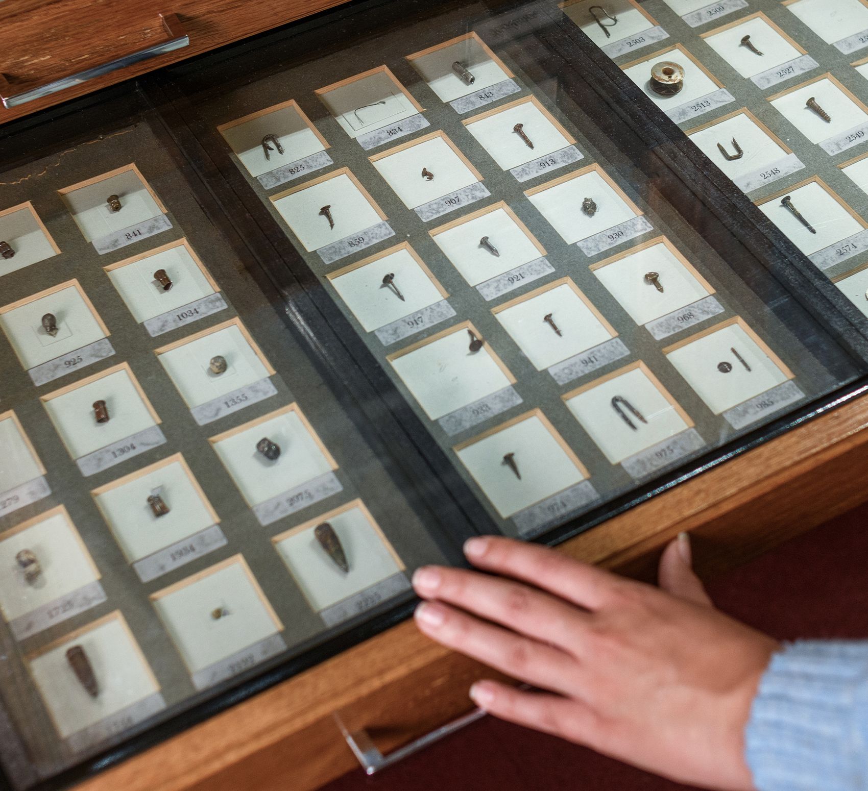 MUTTER MUSEUM ムッター　Muetter　医療　病理　解剖　奇形 MUTTER MUSEUM ムッター Muetter 医療 病理 解剖 奇形