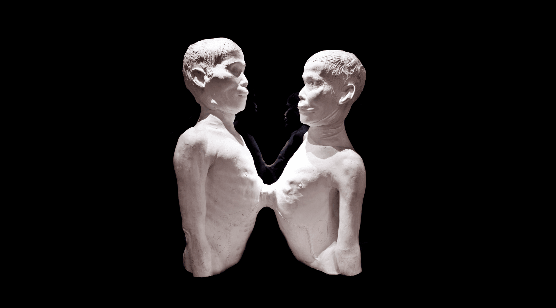 White casts of two men conjoined at the torso on a black background